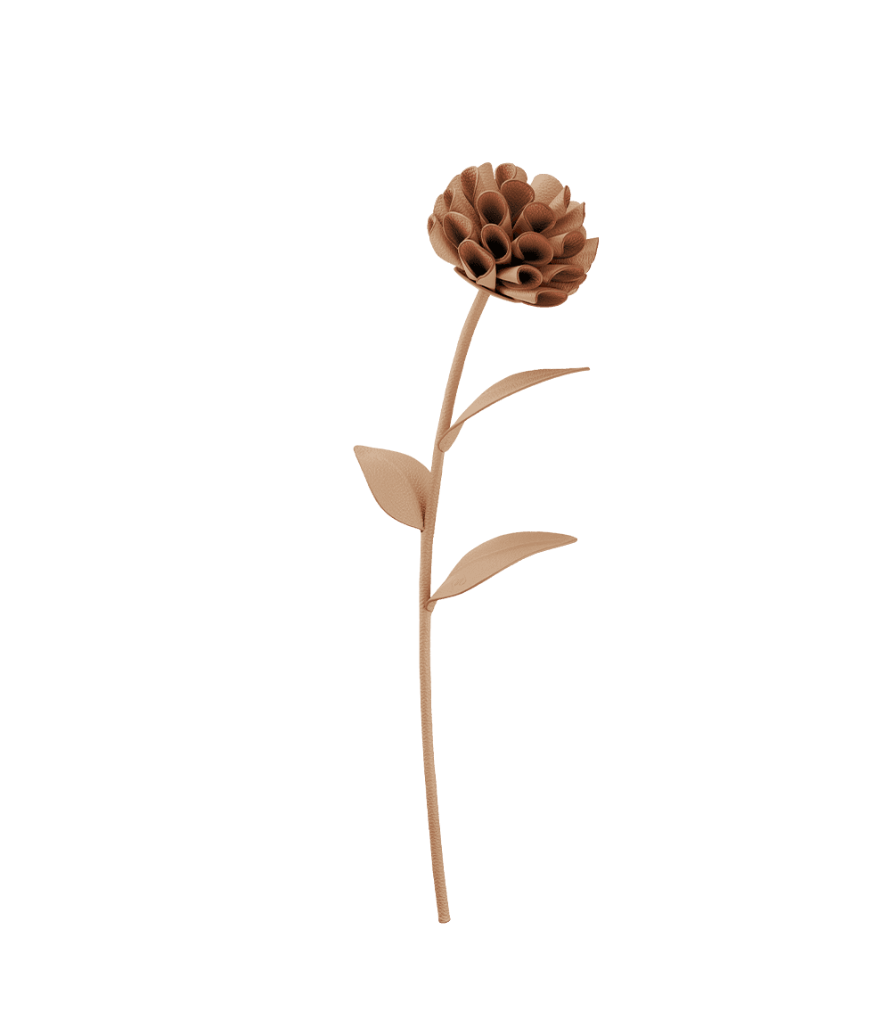 Fleur Dalium - Beige