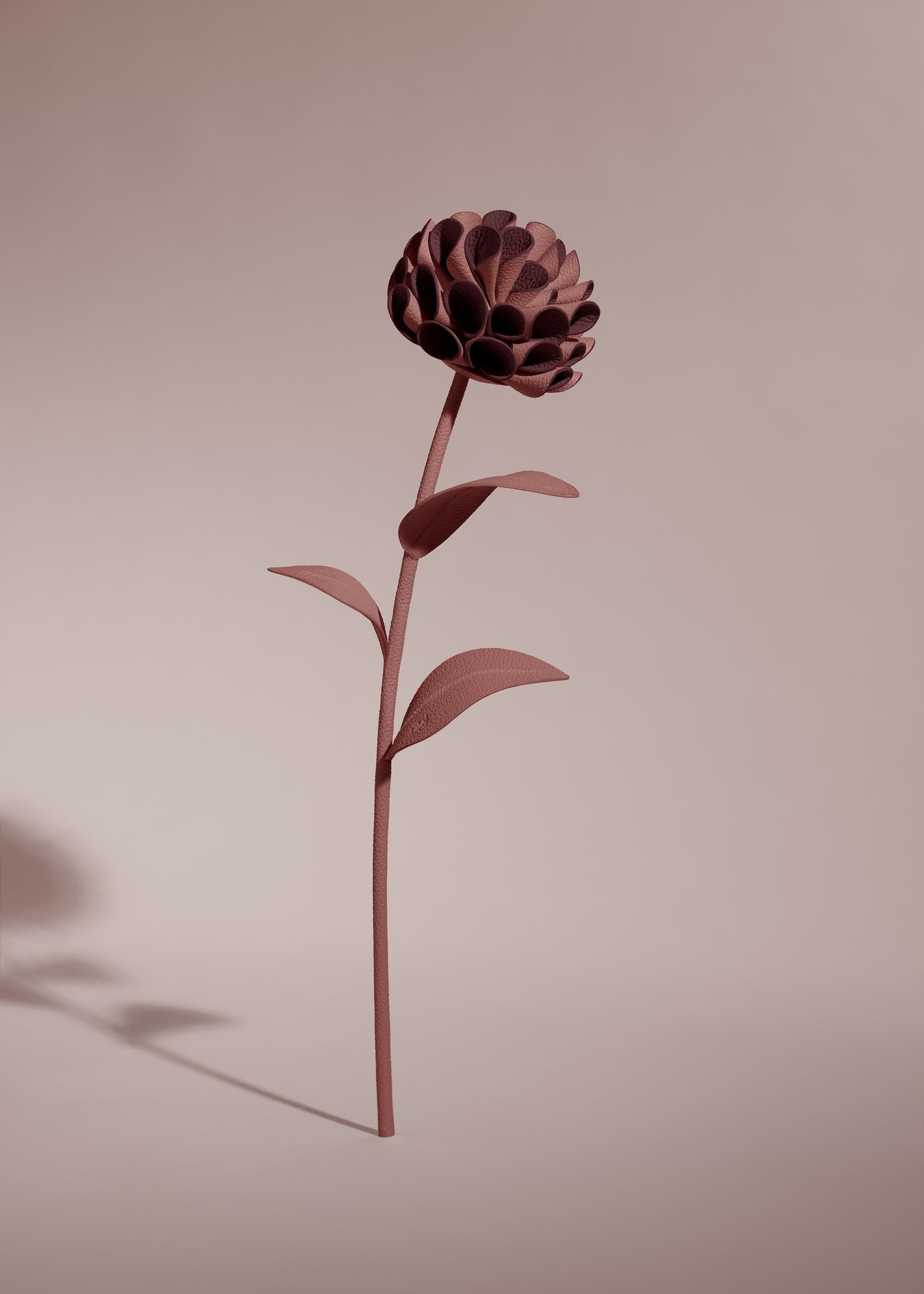 Fleur Dalium - Lilas - Photo 1