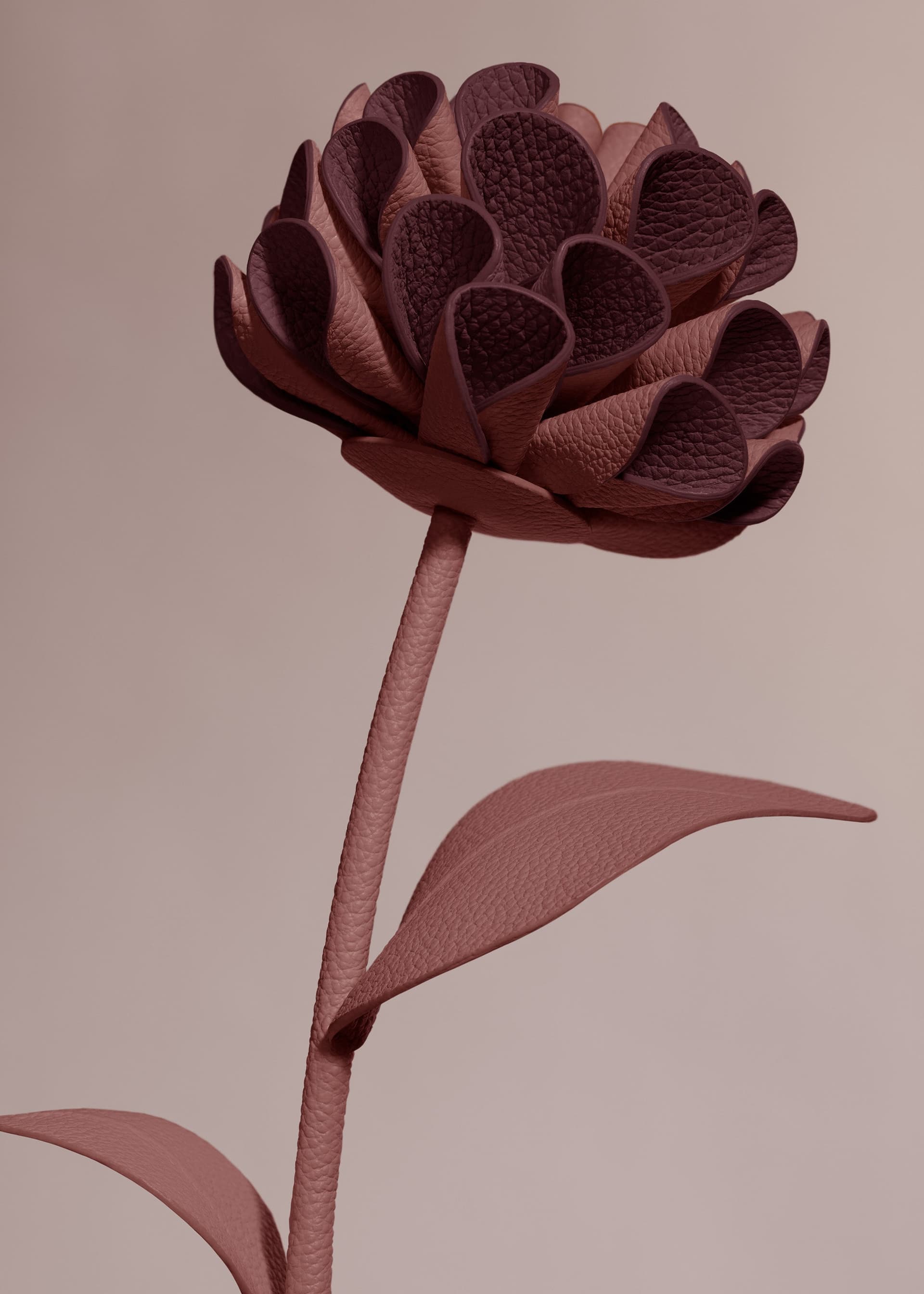 Fleur Dalium - Lilas - Photo 2