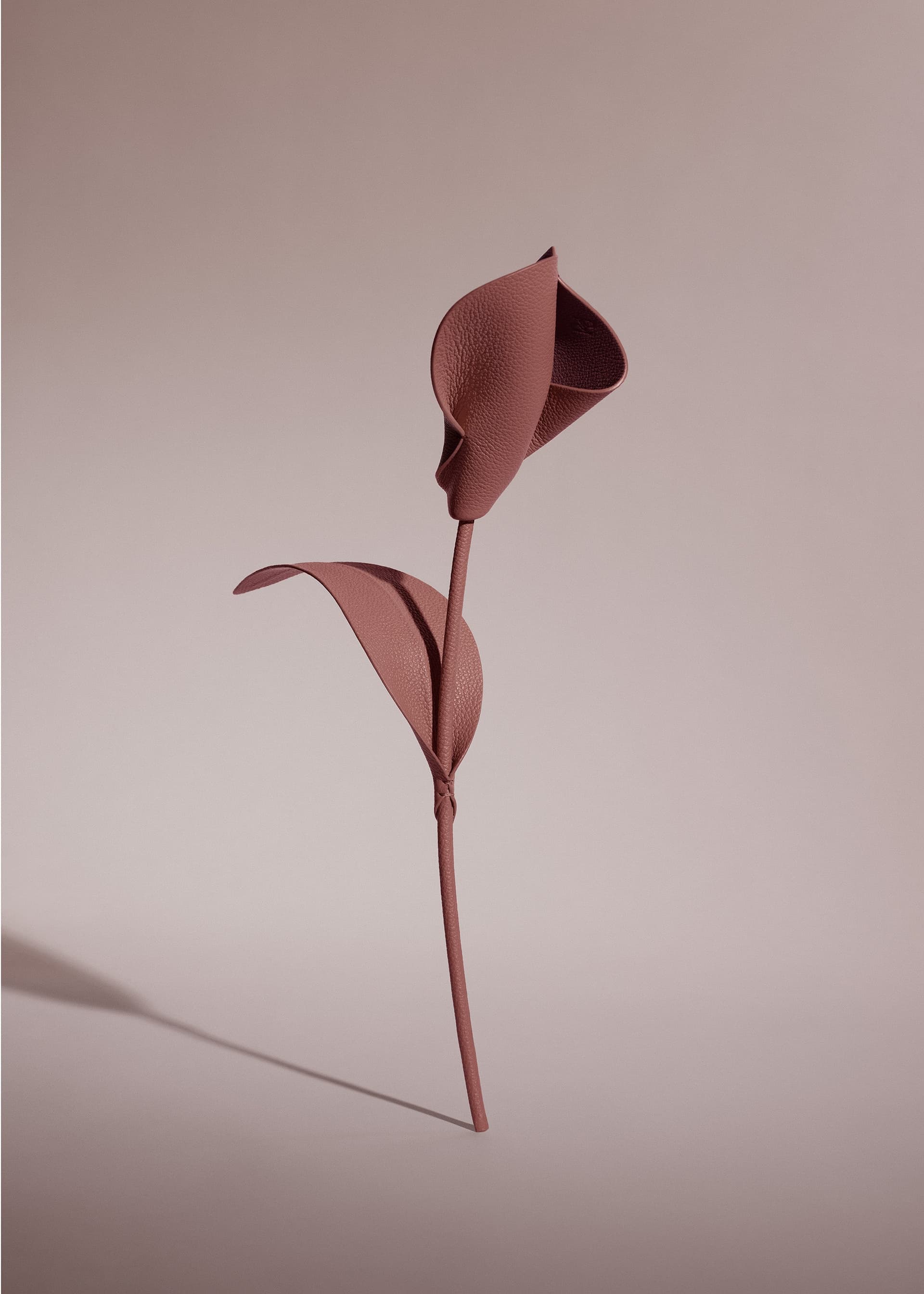 Fleur Pili - Lilas - Photo 1