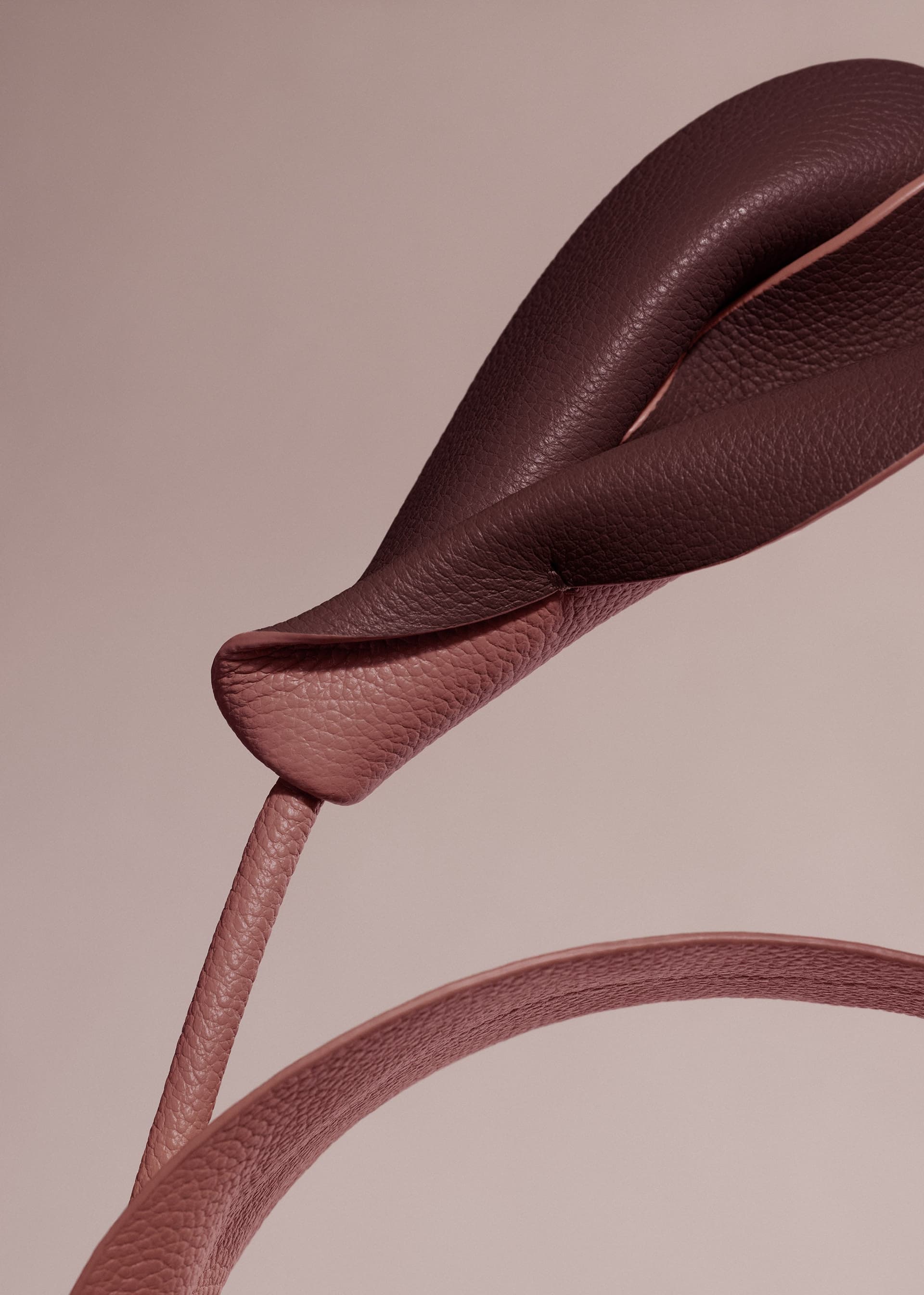 Fleur Pili - Lilas - Photo 2