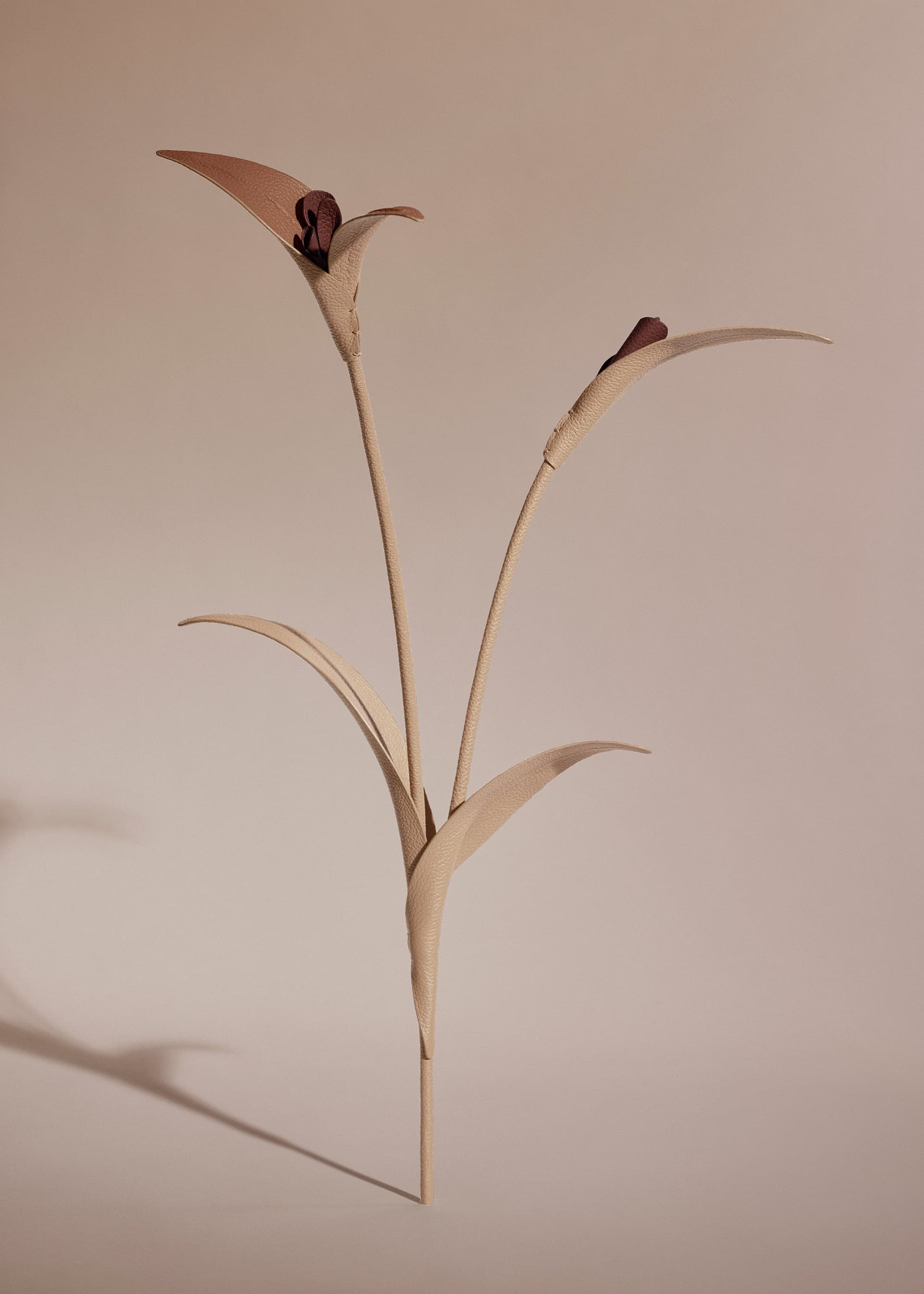 Fleur Touka - Beige - Photo 1