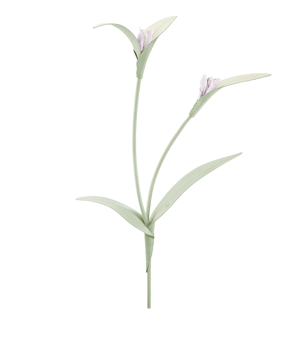 Fleur Touka - Amande Fraîche