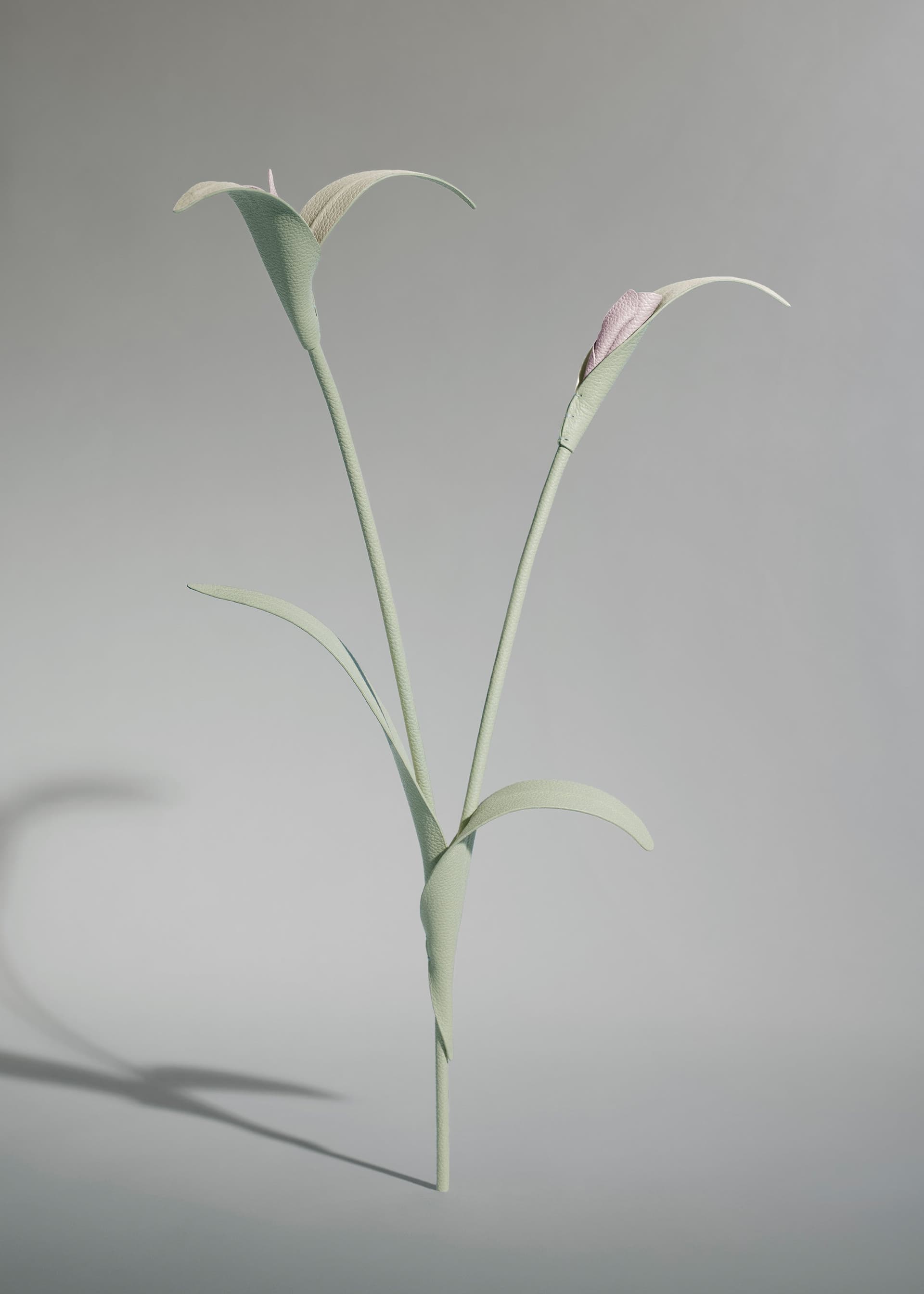 Fleur Touka - Amande Fraîche - Photo 1