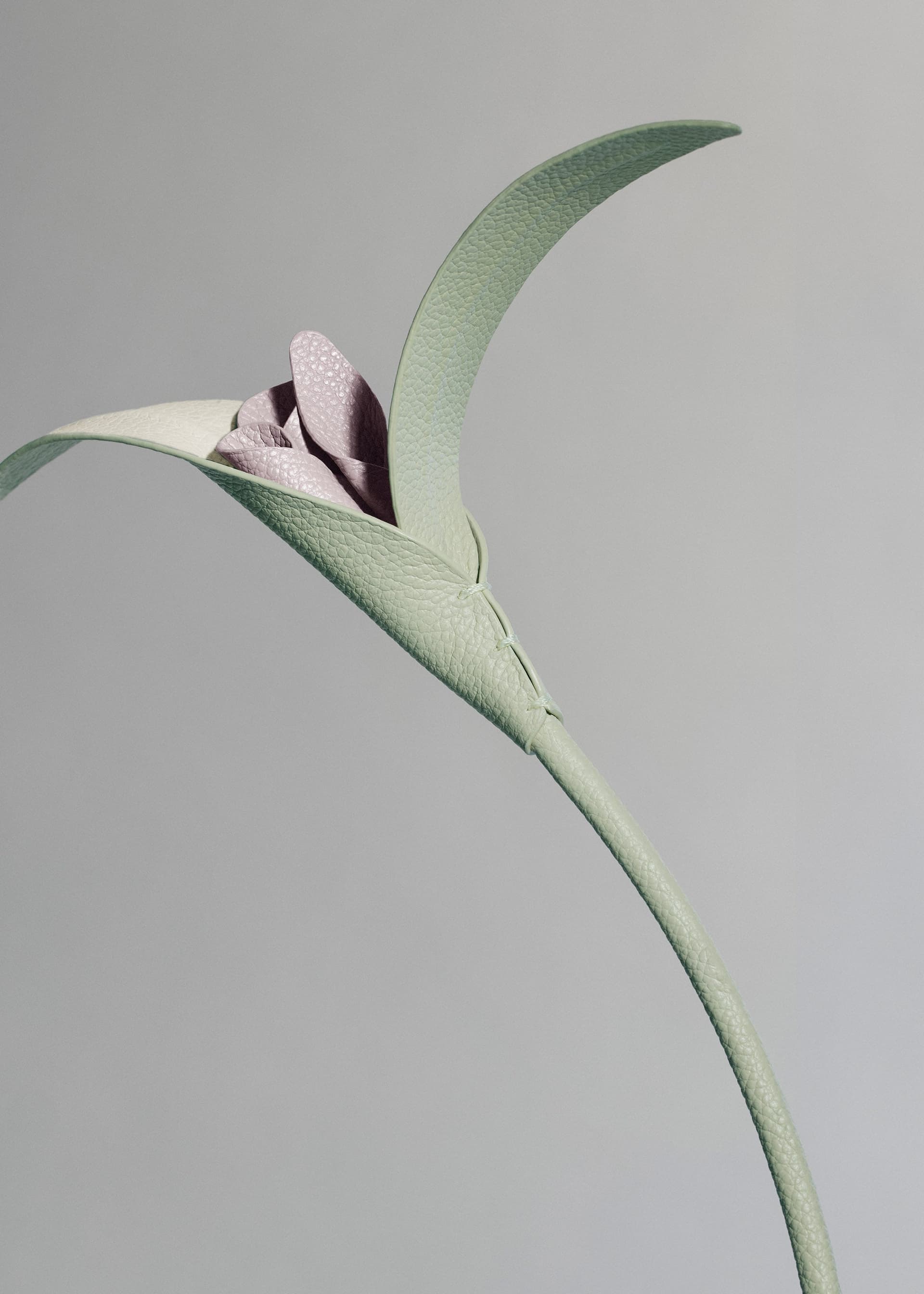 Fleur Touka - Amande Fraîche - Photo 2