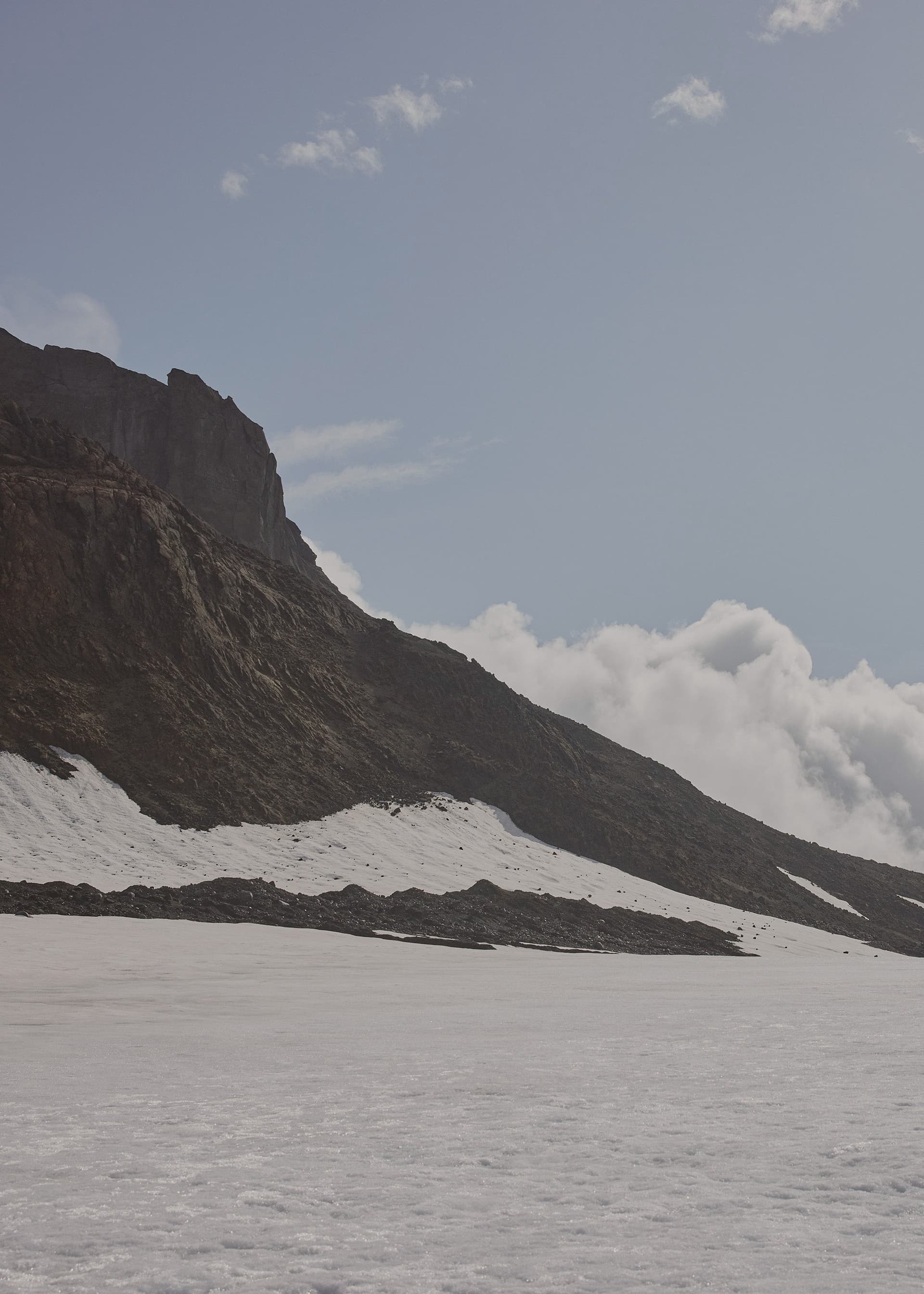 Numéro Un Nano - Tan Grainé - Photo 3