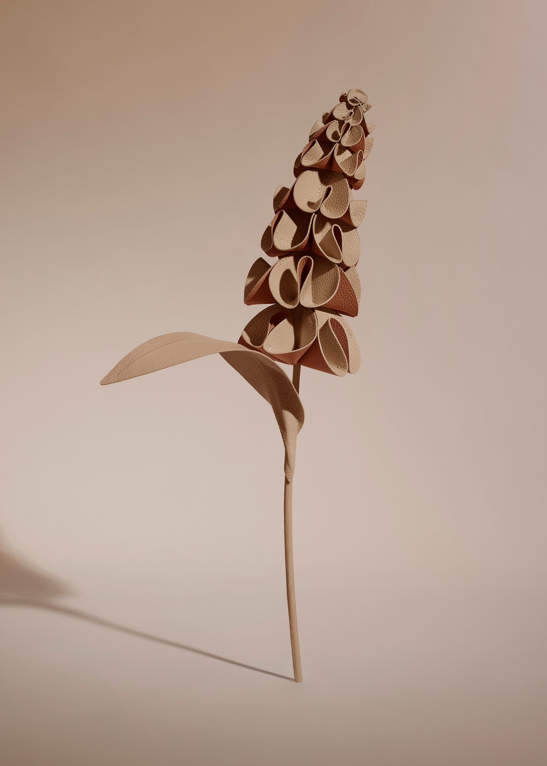 Fleur Orki - Beige - Photo 1