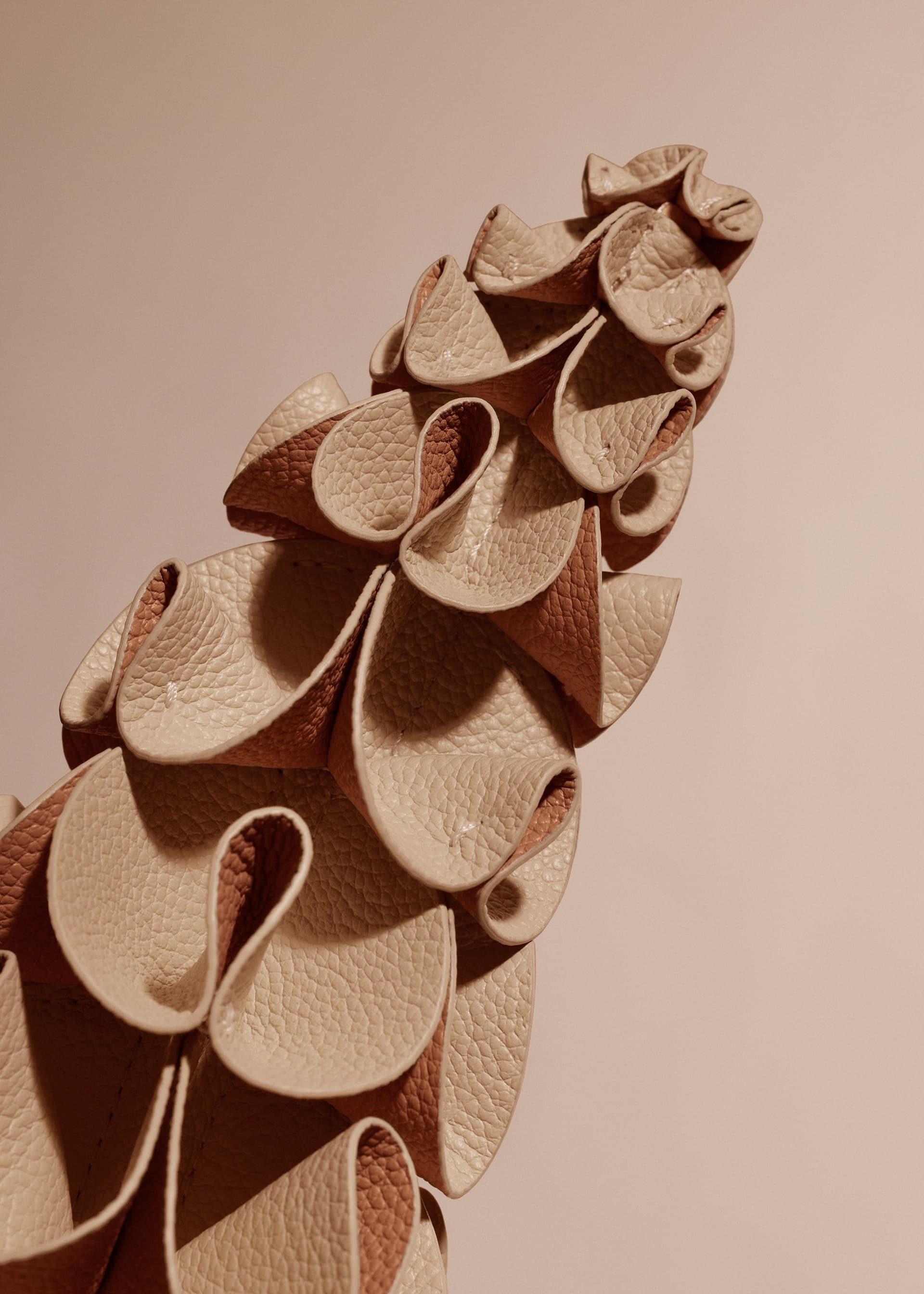 Fleur Orki - Beige - Photo 2