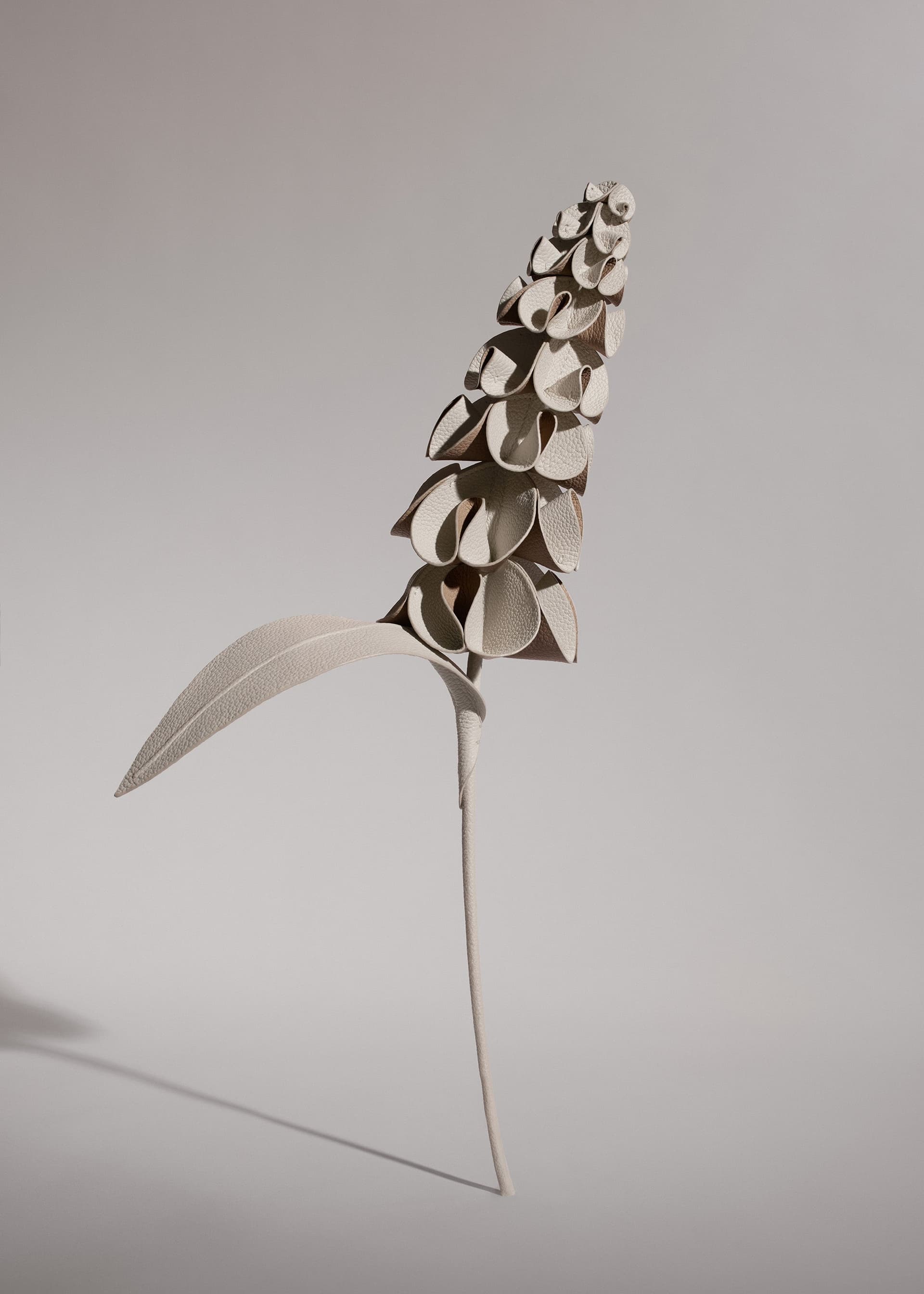 Fleur Orki - Craie - Photo 1