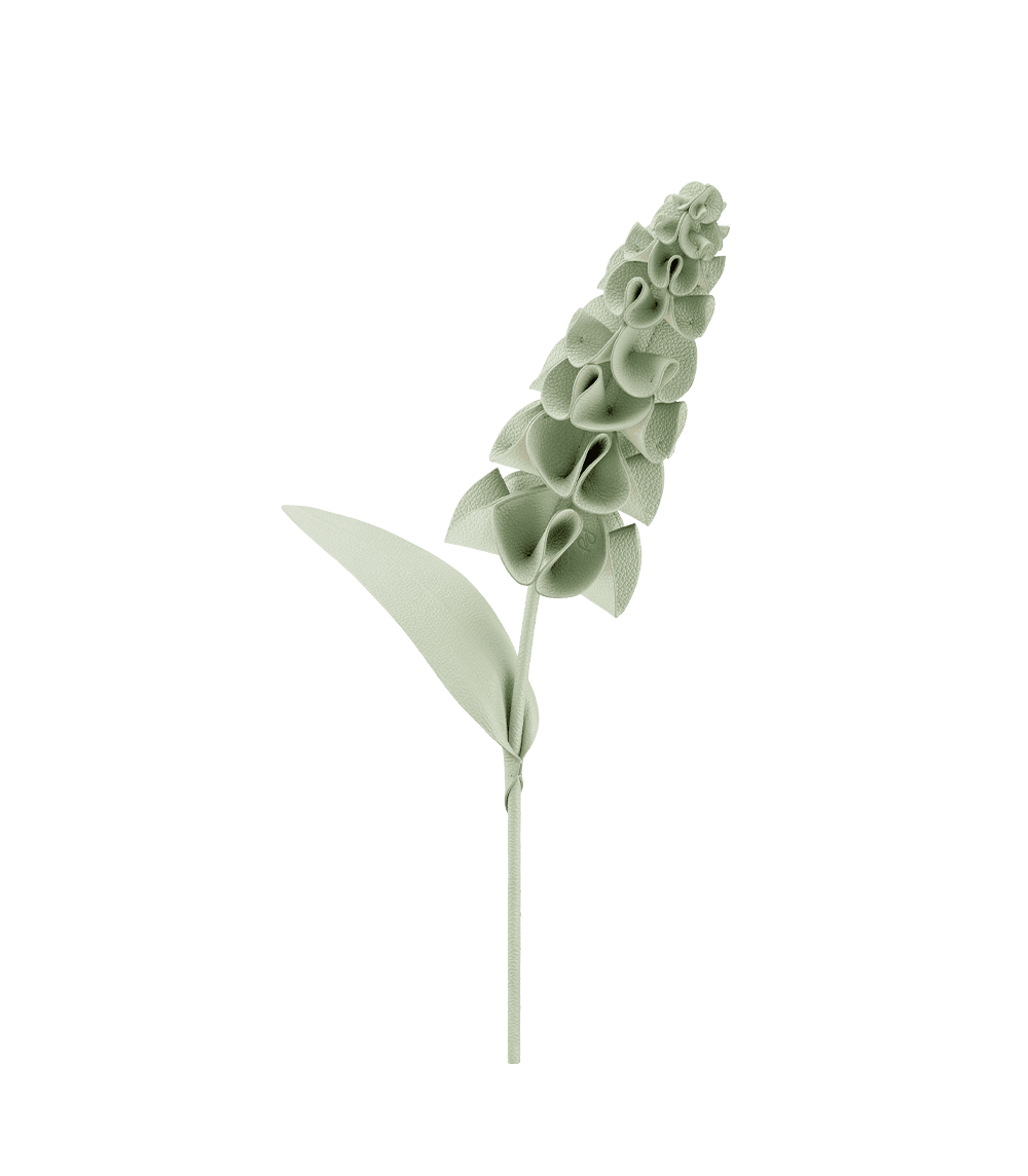 Fleur Orki - Amande Fraîche