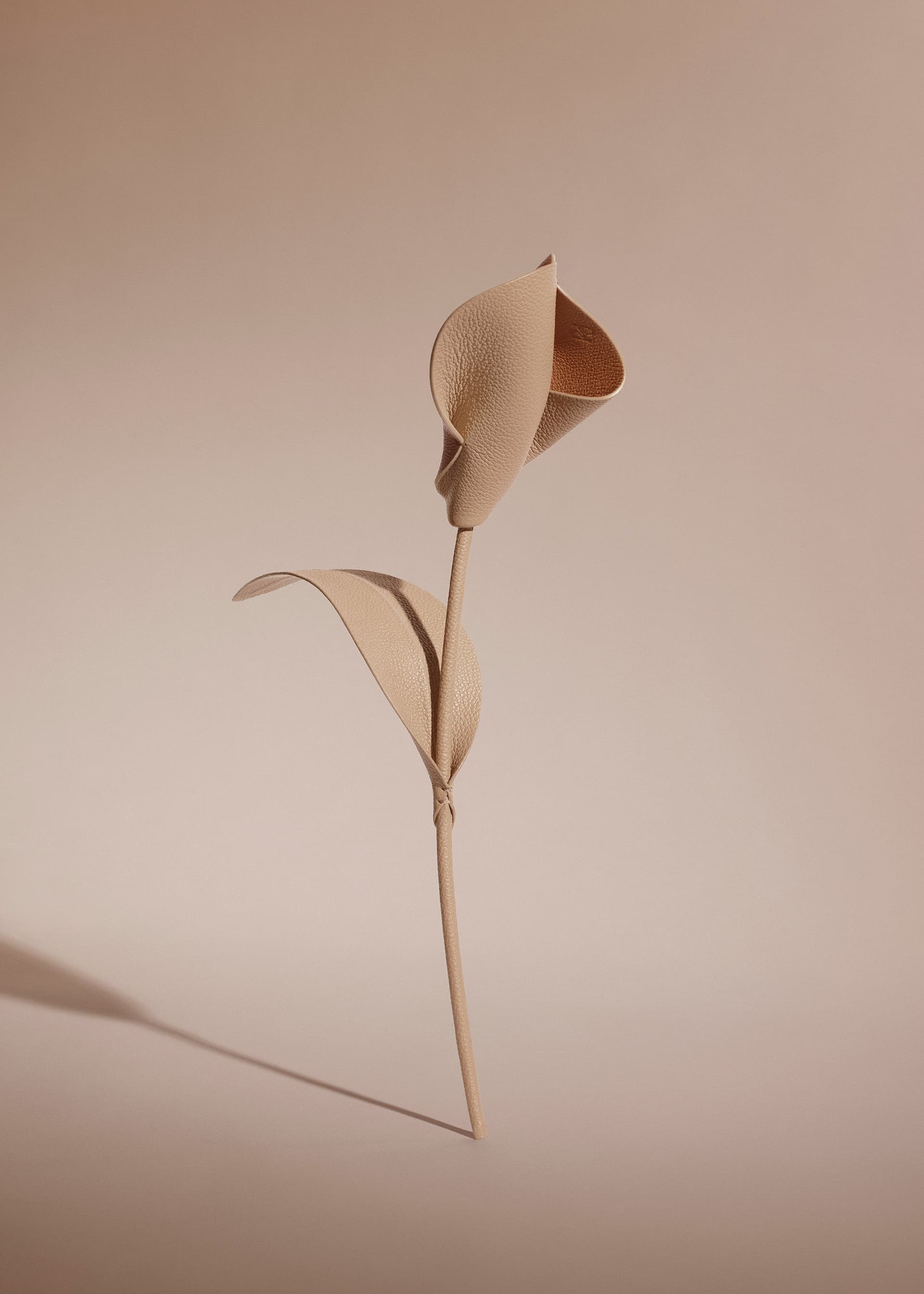 Fleur Pili - Beige - Photo 1