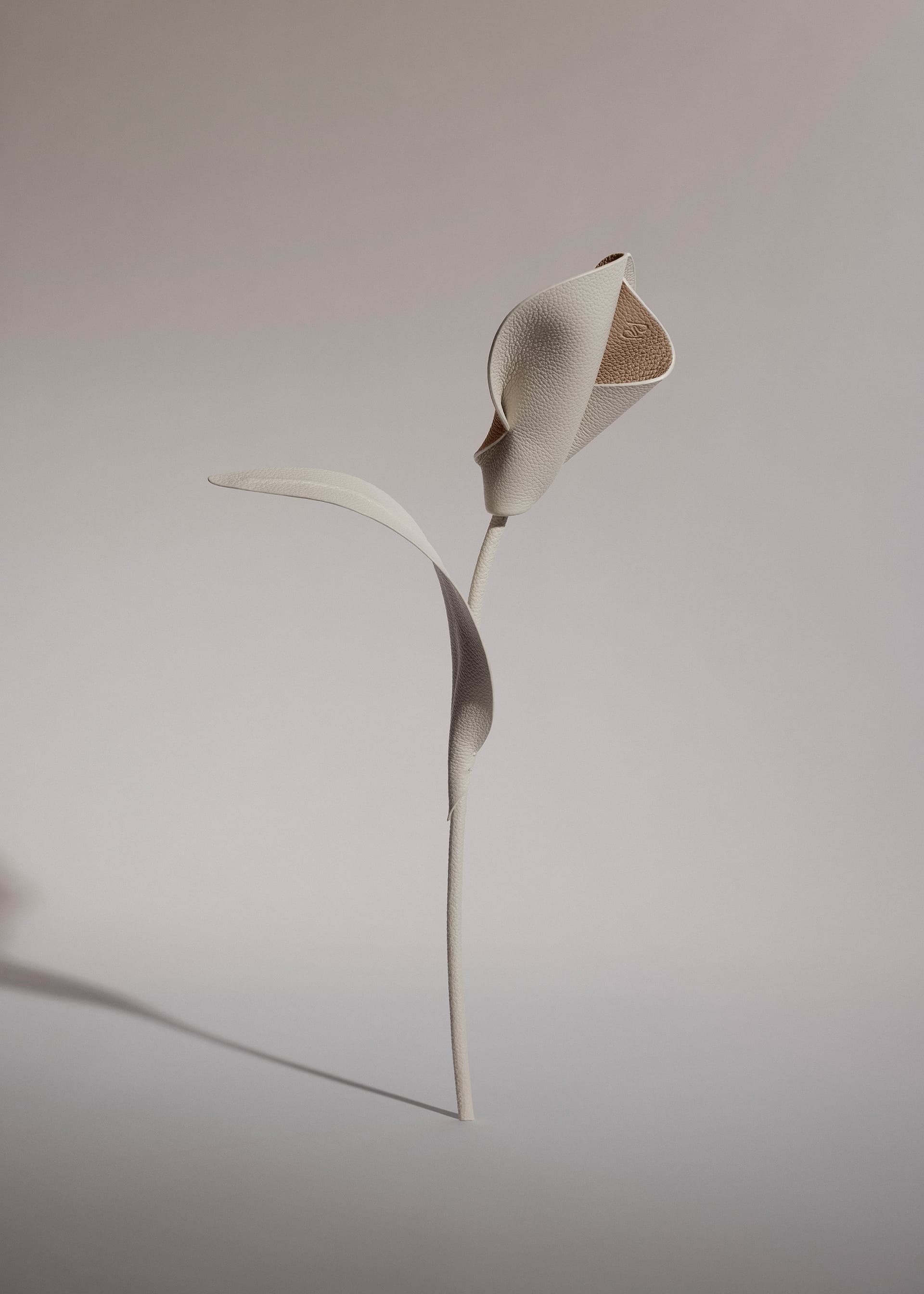 Fleur Pili - Craie - Photo 1