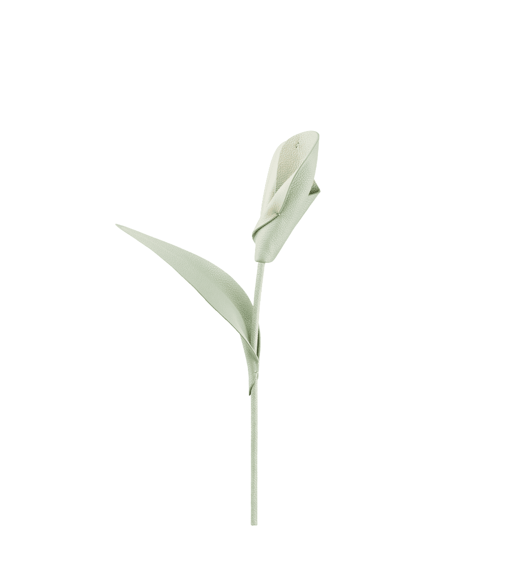 Fleur Pili - Amande Fraîche