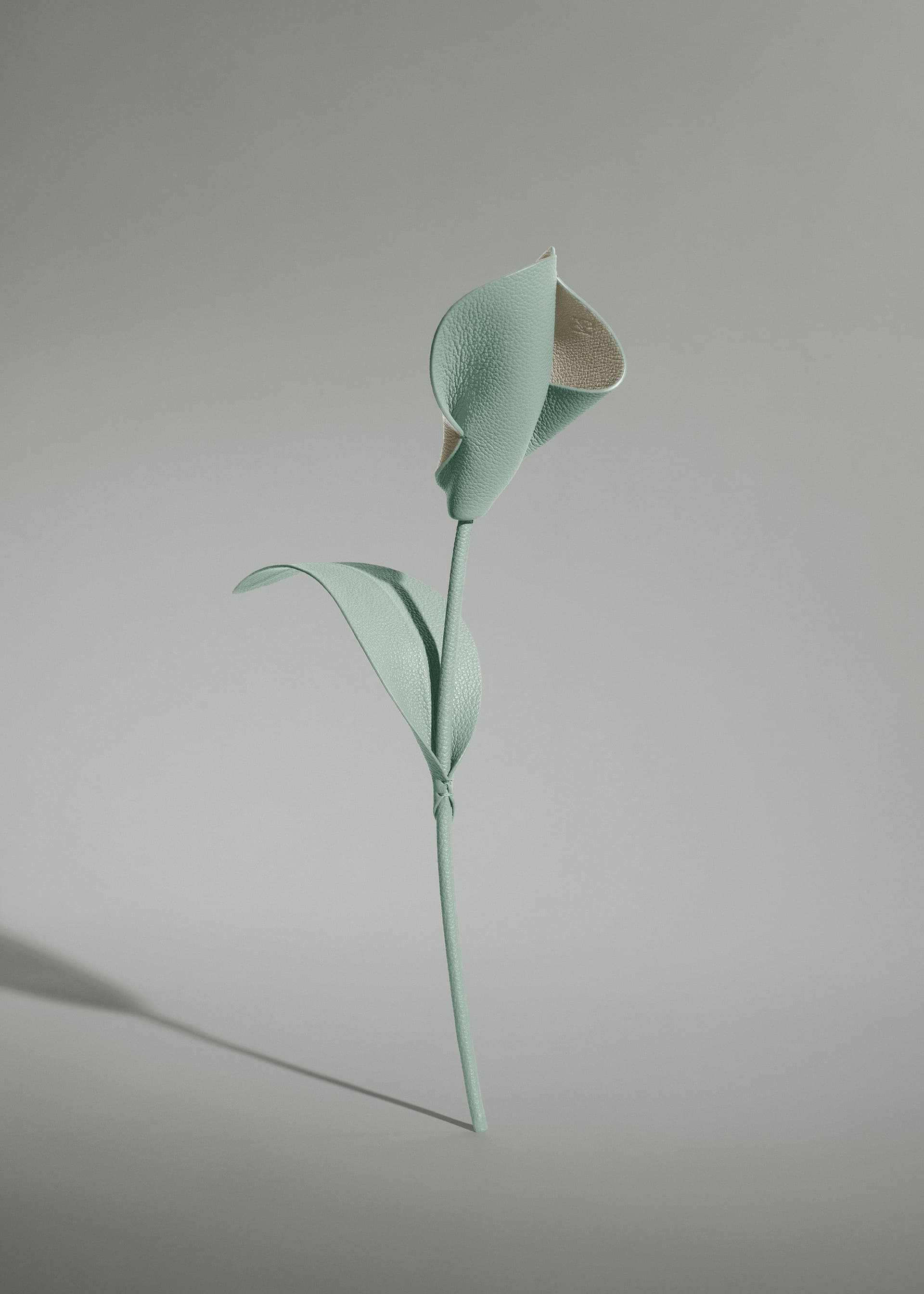 Fleur Pili - Amande Fraîche - Photo 1