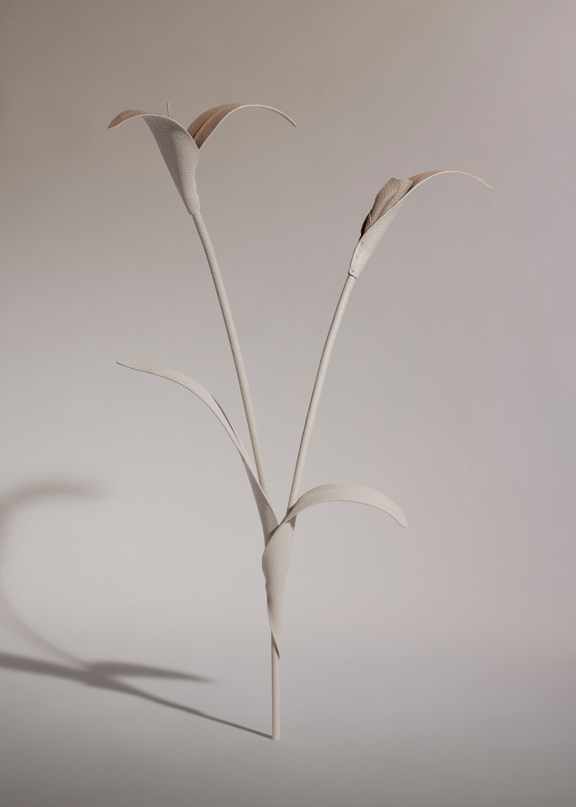 Fleur Touka - Craie - Photo 1