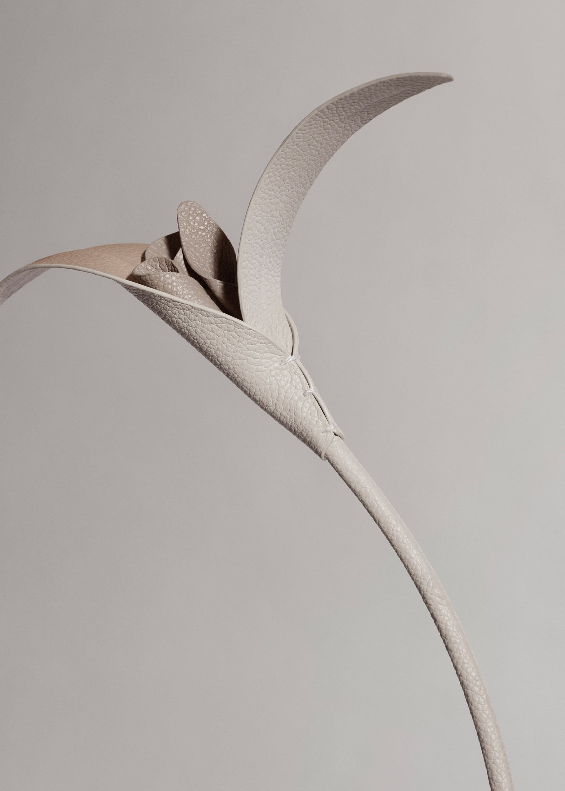 Fleur Touka - Craie - Photo 2