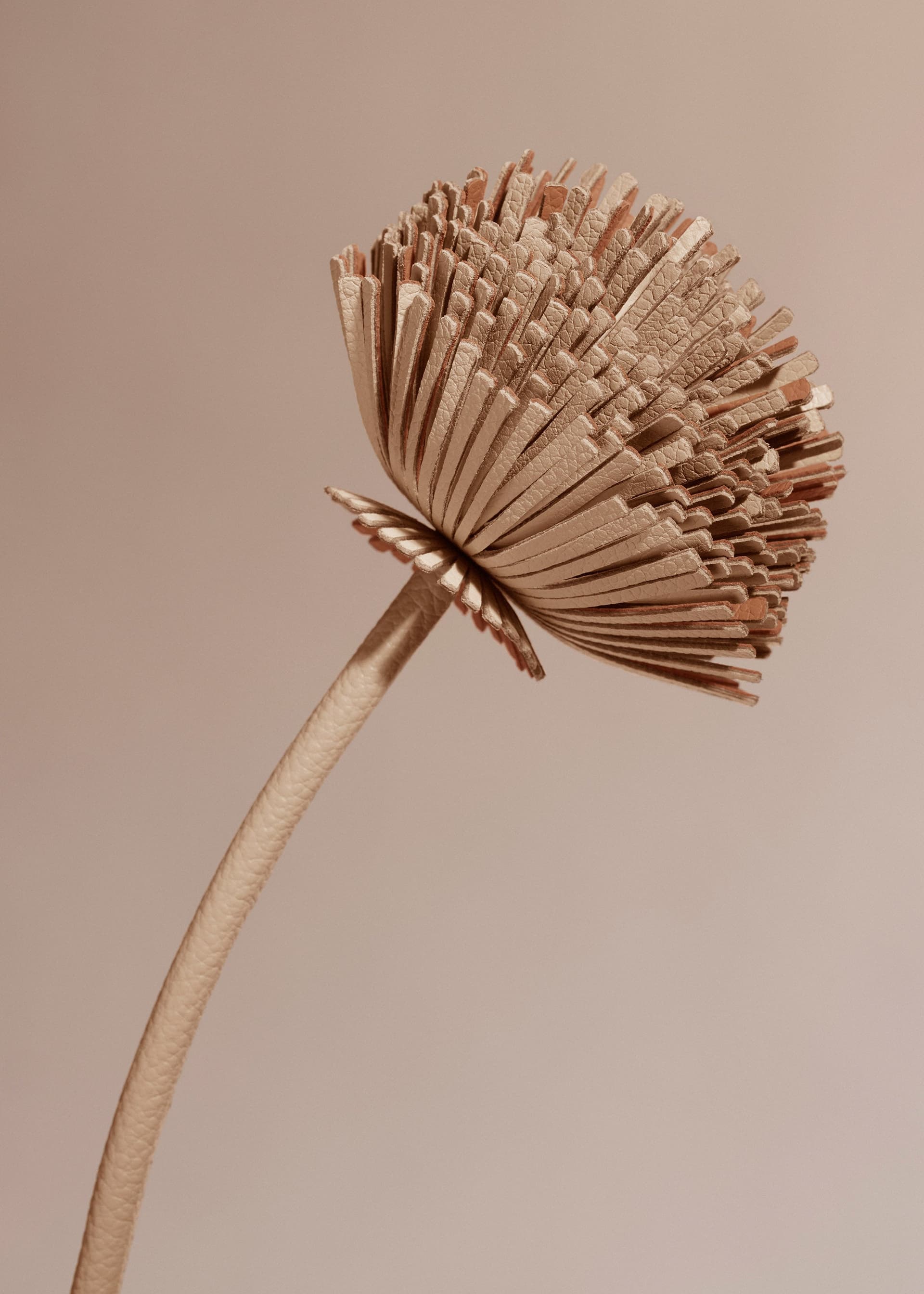 Fleur Tul - Beige - Photo 2