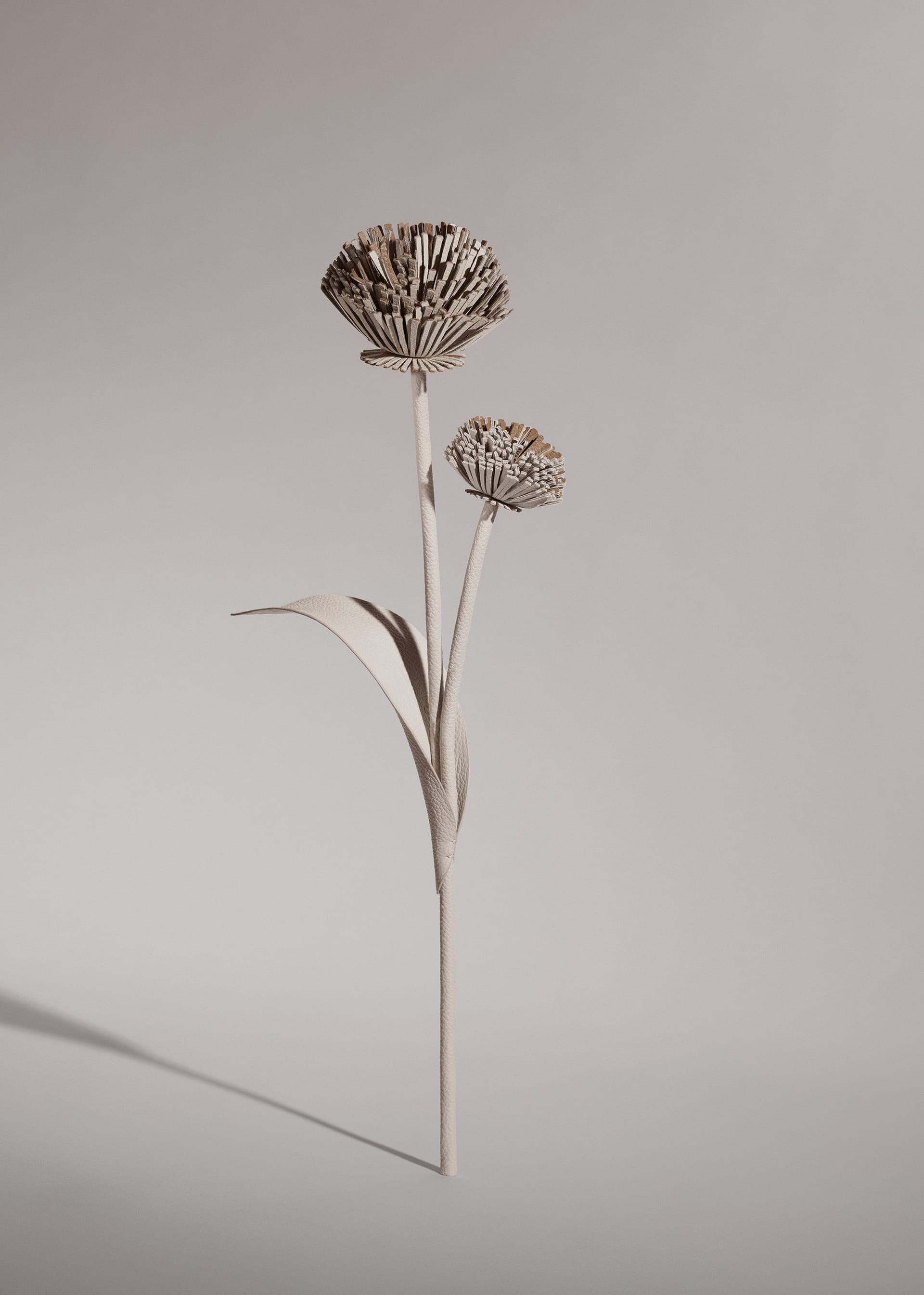 Fleur Tul - Craie - Photo 1