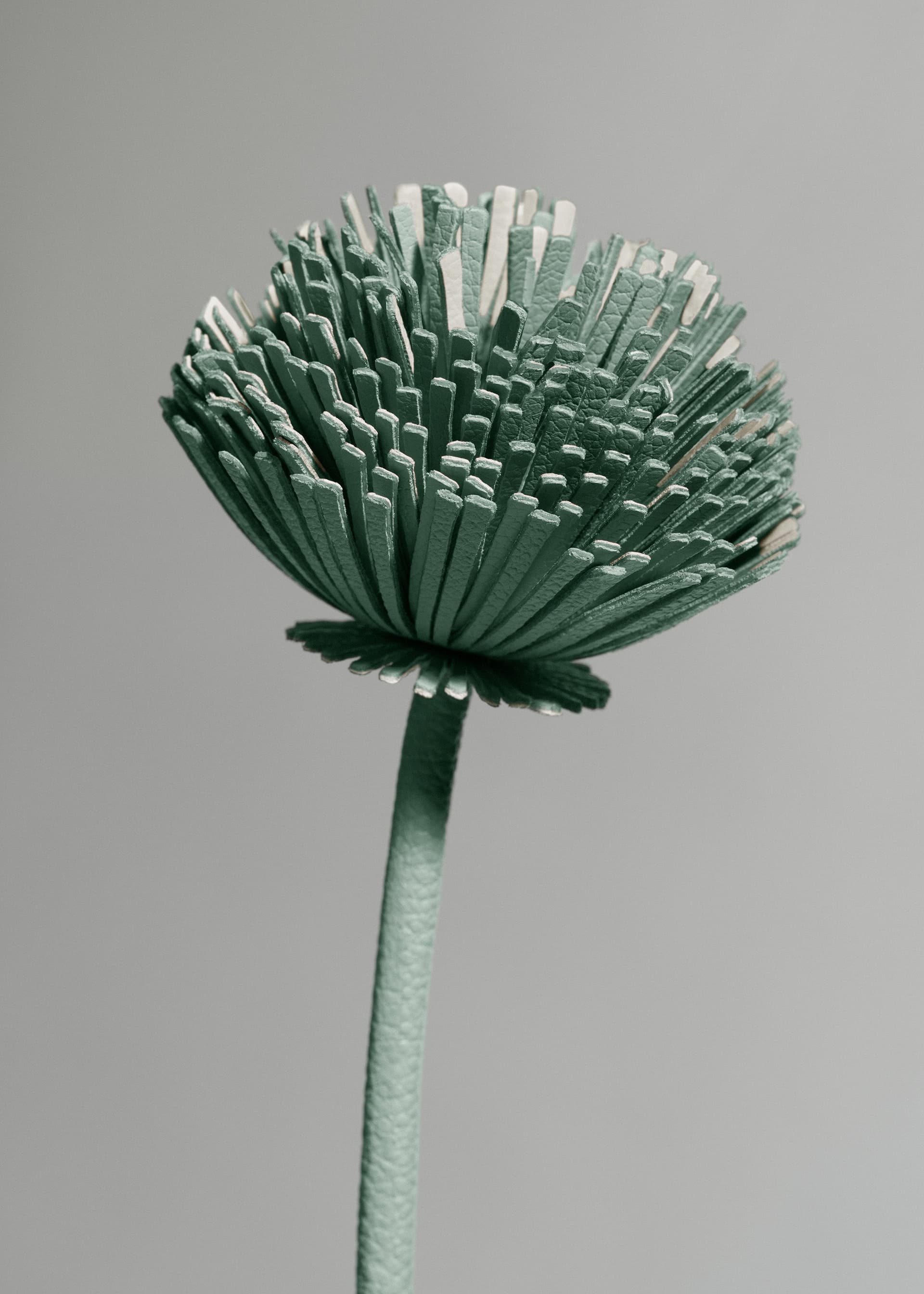 Fleur Tul - Amande Fraîche - Photo 2