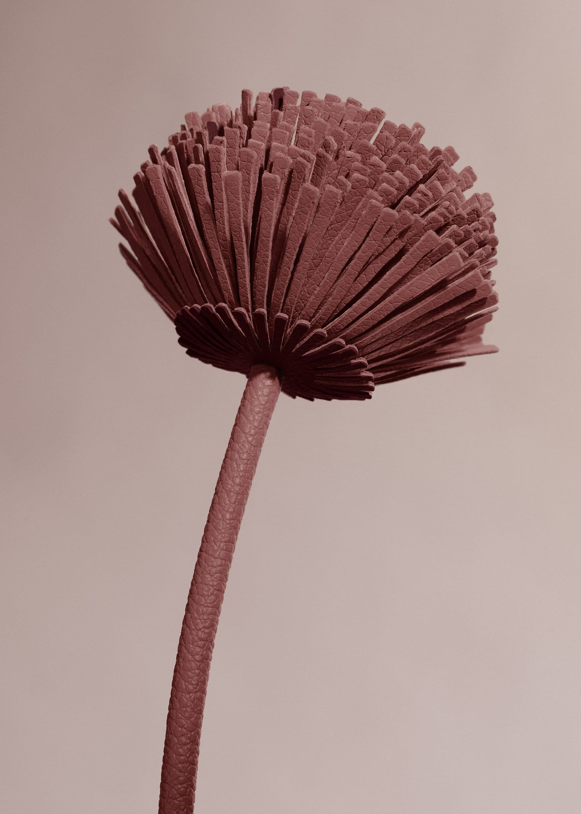 Fleur Tul - Lilas - Photo 2